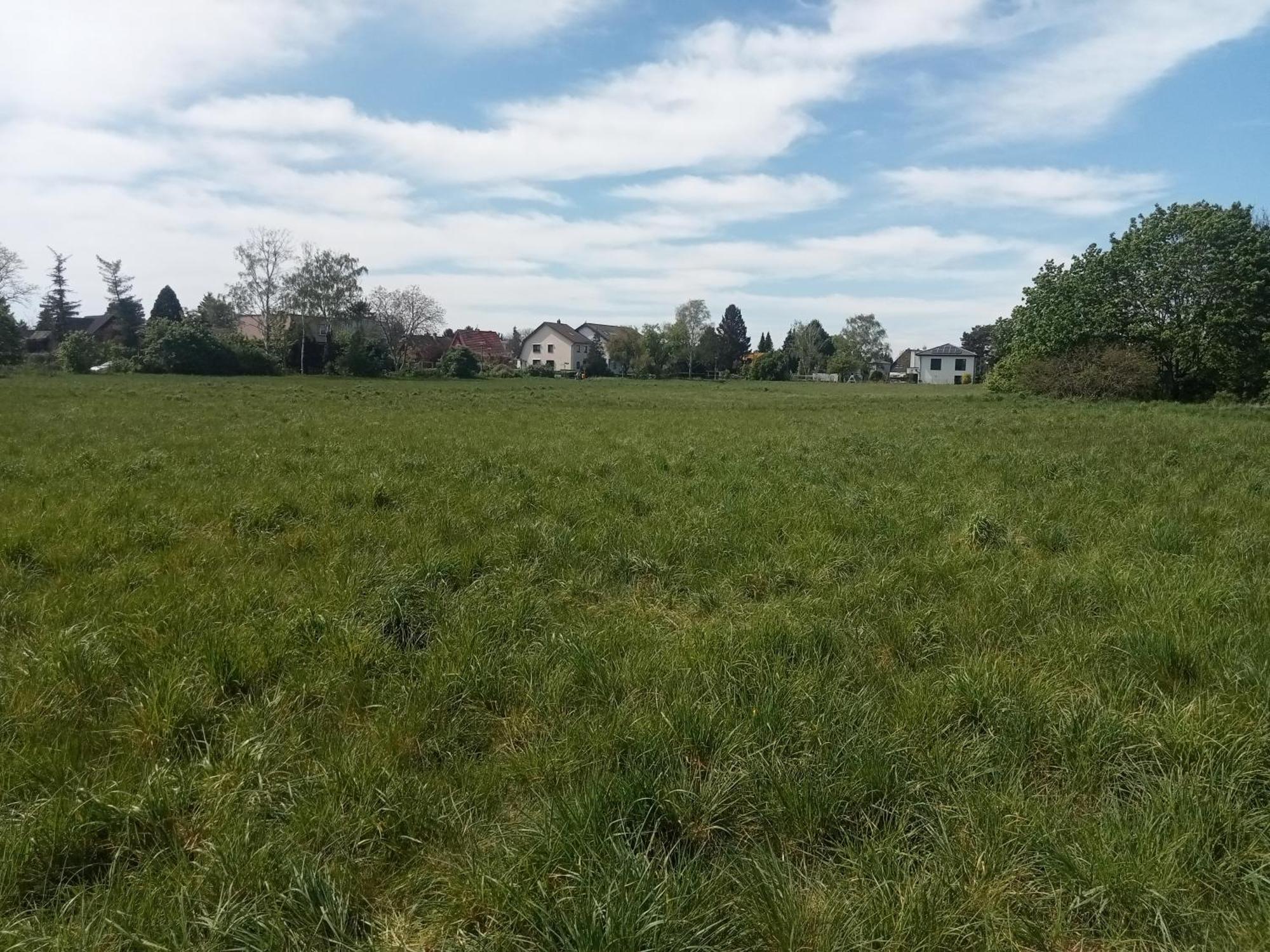 Stadtgruen 2 Берлин Экстерьер фото
